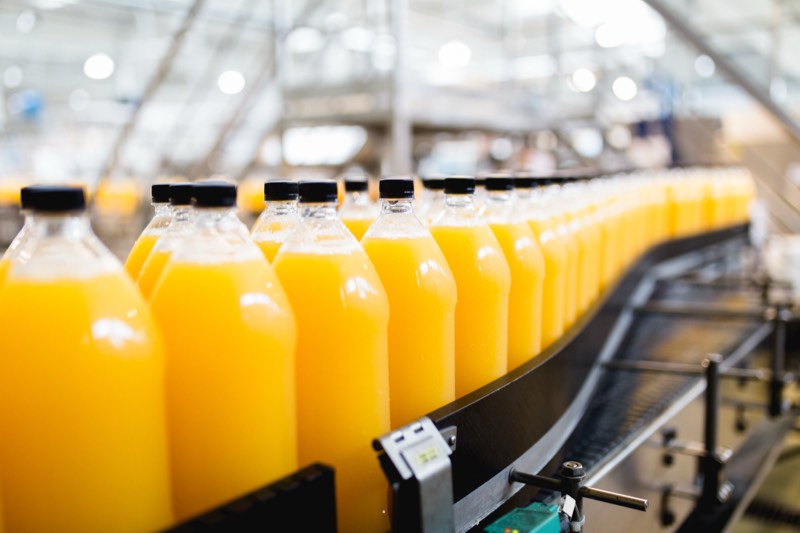 Fresh fruits and vegetables on a conveyor belt in a food processing facility
